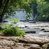 Shutterstock 1182087925 (1)